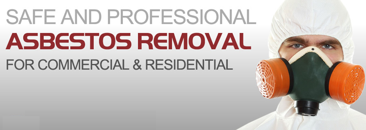 safe and professional mold removal