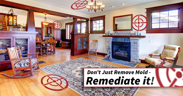 WE ARE A CERTIFIED WATER DAMAGE, Mold Removal Germantown &amp; REMEDIATION, FIRE AND SMOKE DAMAGE RESTORATION COMPANY
