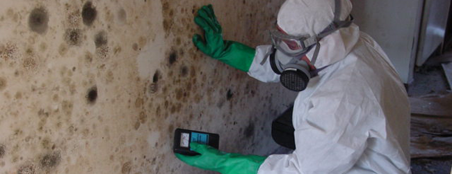 Mold inspections are the most important procedures in the process of Mold Removal Germantown. Because most of the time, the human eye cannot detect the mold, which is often invisible