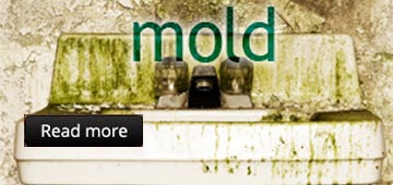 Mold Removal Germantown & REMEDIATION