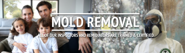 Mold Removal Germantown & REMEDIATION
